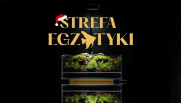 Godziny otwarcia Strefa Egzotyki w okresie świątecznym