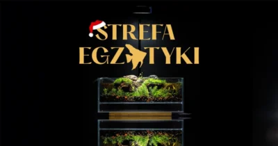 Godziny otwarcia Strefa Egzotyki w okresie świątecznym